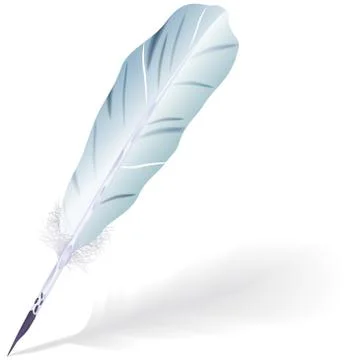Goose feather. Illustrazione stock