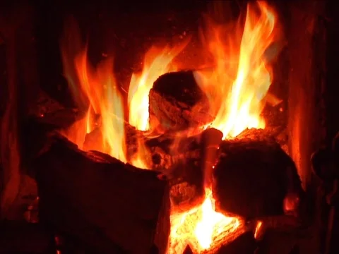 Goose Flames Stock Footage 490051