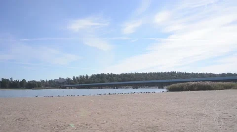 A goose flock on the beach. Stock Footage 49737369
