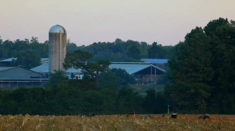 Goose hunt Stock Footage 637177