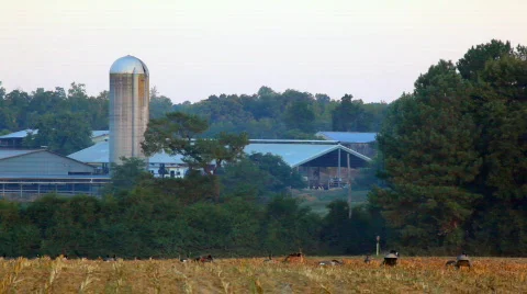 Goose hunt Stock Footage 637392