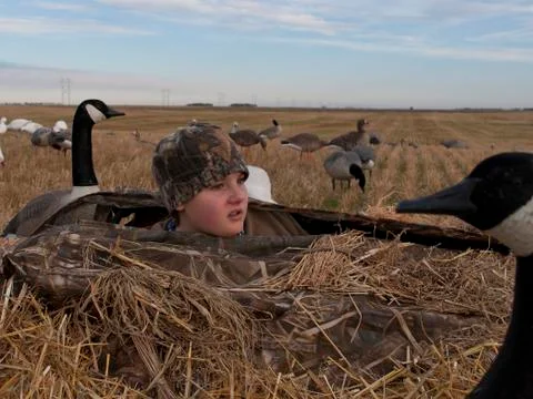 Goose Hunter Stock Photos