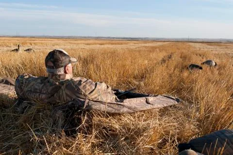 Goose Hunter Stock Photos