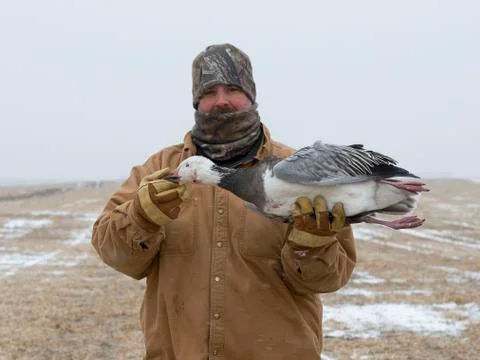 Goose Hunter Stock Photos