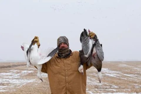 Goose Hunter Stock Photos