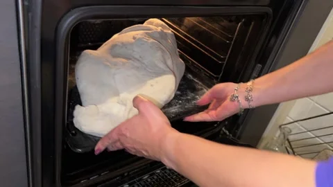 Goose inside dough is placed in the oven Stock-Footage 221271337