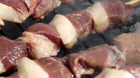 Goose Skewer with fat Vídeos de archivo 27796888