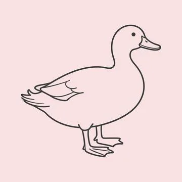 Goose vector line art with simple elegant bird outline illustration Stock Illustration