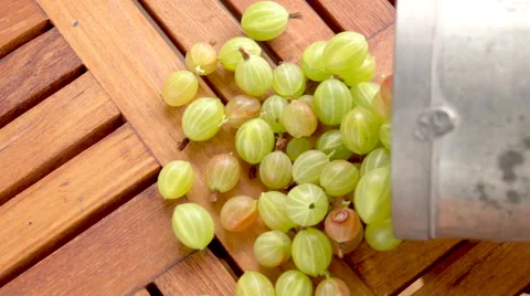 Gooseberries falling out of basket in slow motion Stock Footage