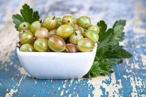 Gooseberries Stock Photos