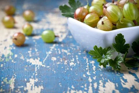 Gooseberries Stock Photos