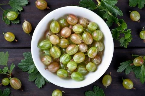 Gooseberries Stock Photos