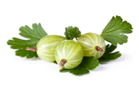 Gooseberries Stock Photos
