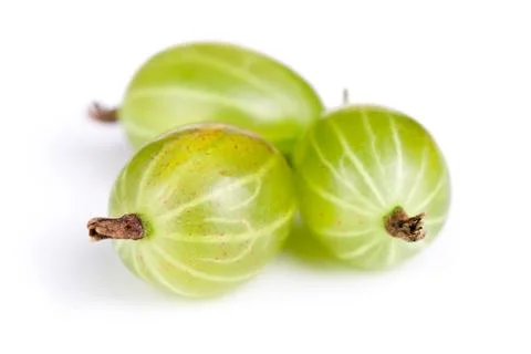 Gooseberries Stock Photos