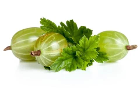 Gooseberries Stock Photos