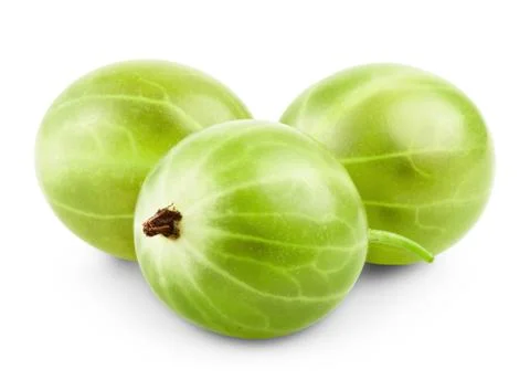 Gooseberries Stock Photos