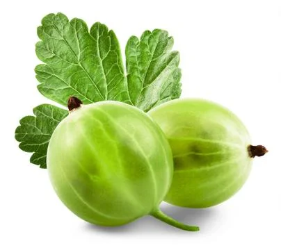 Gooseberries Stock Photos