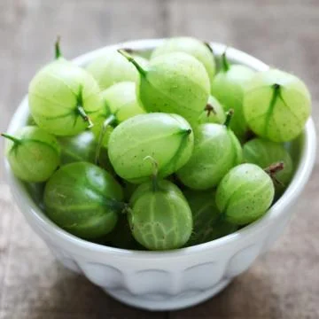 Gooseberries Stock Photos