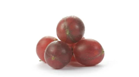 Gooseberries rotating Stock Footage 7752413