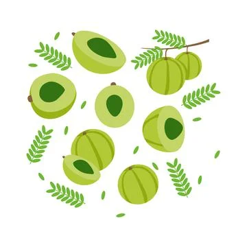Gooseberry also known Amla elements abstract vector design background for pac Stock Illustration