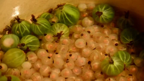 Gooseberry and white currant compote Stock Footage 328640440