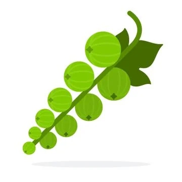 Gooseberry berries Stock Illustration