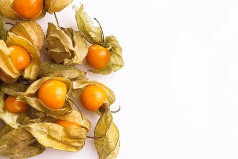 Gooseberry Cape Stock Photos