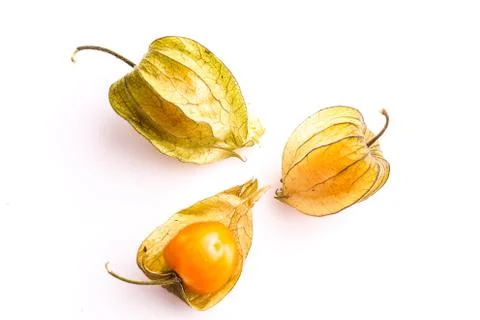 Gooseberry Cape Stock Photos