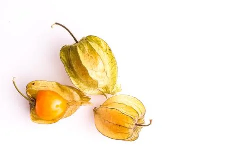 Gooseberry Cape Stock Photos