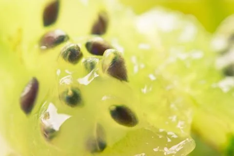 Gooseberry close up Stock Photos