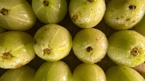 Gooseberry - Close Up Shot - Backwards Video stock 285846740