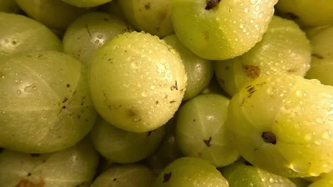 Gooseberry - Close Up Shot Stock-Footage 285773042