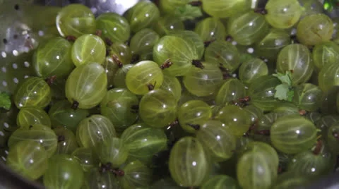 Gooseberry in a colander Video stock 25719656