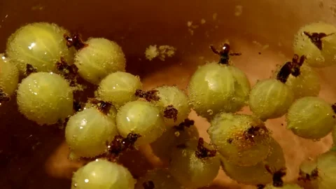Gooseberry compote Stock Footage 328638695
