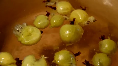 Gooseberry compote Stock Footage 328639124