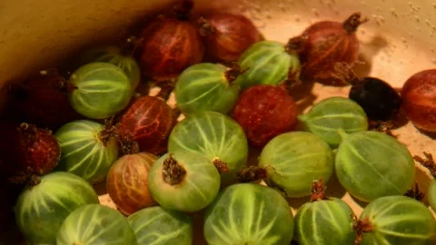 Gooseberry compote Stock Footage 328639709