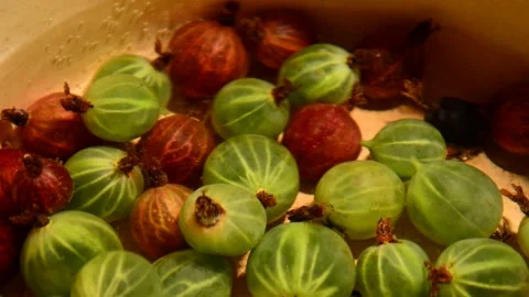Gooseberry compote Stock Footage 328639712