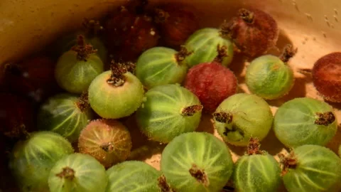Gooseberry compote Stock Footage 328639784