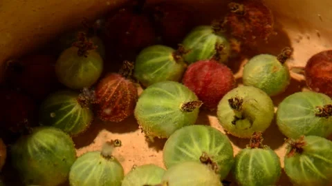 Gooseberry compote Stock Footage 328639787