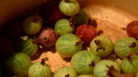 Gooseberry compote Stock Footage 328639912