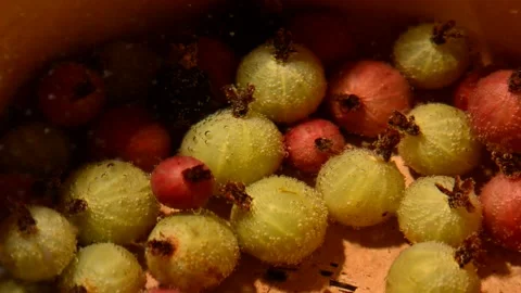 Gooseberry compote Stock Footage 328639926
