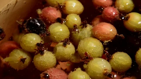 Gooseberry compote Stock Footage 328640016