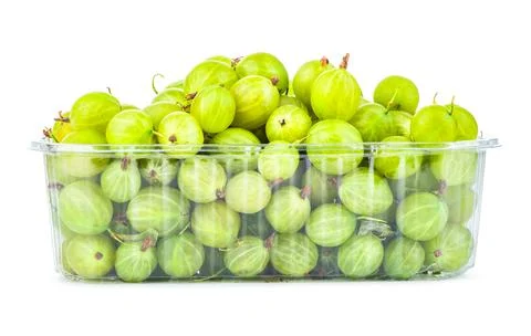Gooseberry in container Foto stock