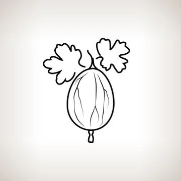 Gooseberry in the Contours Stock Illustration