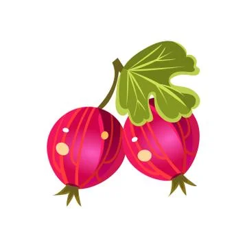 Gooseberry  Flat Vector Sticker Stock Illustration