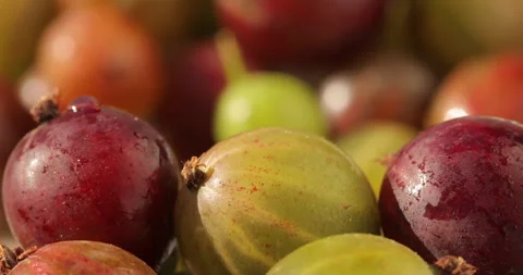 Gooseberry in Focus with a Rotating Blurred Background Vídeo Stock 135629657