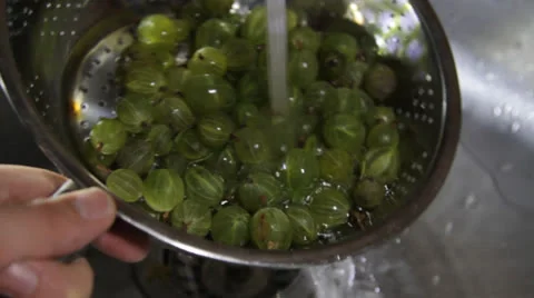 Gooseberry Stock Footage 25719755