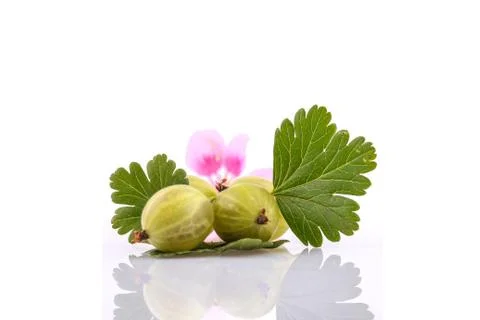 Gooseberry fruit Foto stock