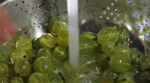 Gooseberry handful Stock Footage 25719637