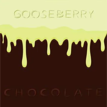 Gooseberry Stock Illustration